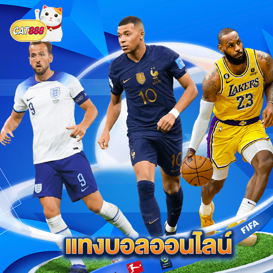 cat888 แทงบอลออนไลน์